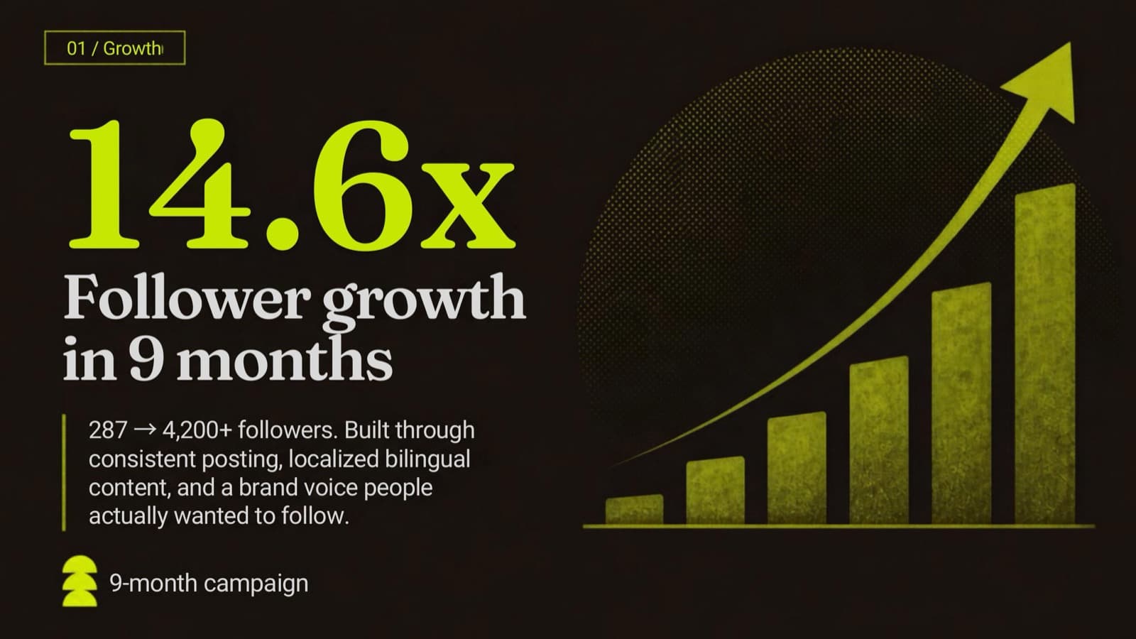 14.6× follower growth in nine months